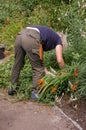 Gardener At Work 01