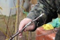 gardener in work clothes holding a grafted cherry branch