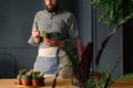 Gardener in work suit holding a cactus at table with succulents Royalty Free Stock Photo