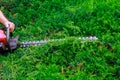 A gardener or worker man is using gasoline hedge trimmer machine cutting for decorating beautiful garden park