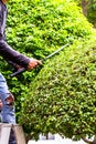 Gardener working in cozy home garden on summer Royalty Free Stock Photo