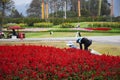 Gardener working and gardening at the garden in Singha Park at Chiangrai city in Chiang Rai, Thailand