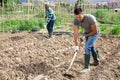 Gardener working soil with hoe at smallholding