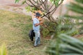 The gardener works in the garden, Varadero, Matanzas, Cuba. Copy space for text. Royalty Free Stock Photo