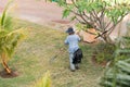 The gardener works in the garden, Varadero, Matanzas, Cuba. Copy space for text. Royalty Free Stock Photo