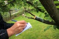 Gardener writes in notebook and inspections live cuttings at grafting apple tree with growing buds.
