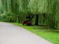 gardener's tractor on a green lawn under willows