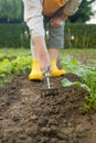 Gardener& x27;s hands working with a small green handle rakes loosening the soil on a flower bed Royalty Free Stock Photo