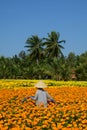 Gardeners care for the flowers in their garden