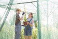 Gardeners discussing over potted plant at greenhouse Royalty Free Stock Photo