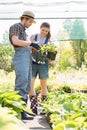 Gardeners discussing over potted plants at garden Royalty Free Stock Photo