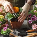 Gardeners hands planting flowers. Hand holding small flower in the garden