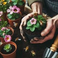 Gardeners hands planting flowers. Hand holding small flower in the garden