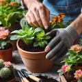 Gardeners hands planting flowers. Hand holding small flower in the garden