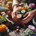 Gardeners hands planting flowers. Hand holding small flower in the garden