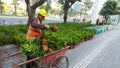 Shenzhen, China: gardeners plant flowers in a green belt