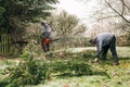 Gardeners pruning tree Royalty Free Stock Photo