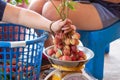 Gardeners weighing a bunch of fresh lychees. On the weighing scale for sorting and packing, send and sell summer fruits, fresh red