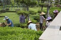 Gardeners work in the park