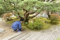 Gardeners working in a garden inside of Ginkaku temple