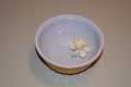 Gardenia bloom in a bowl of water