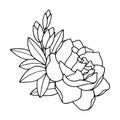 Gardenia snow white flower. Vector stock illustration eps10. Outline, isolate on white background. Hand drawn.