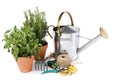 Gardening Royalty Free Stock Photo