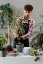 Gardening as a hobby concept. Arabic young man transplanting an adult houseplant Dracaena Marginata into a larger flower