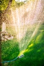 Gardening - automatic lawn watering system with circular sprinklers. Water drops everywhere