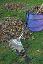 Gardening in autumn Royalty Free Stock Photo