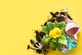 Gardening background with gerbera, tolls and flowers plant in box on yellow background. Top view. Copy space Royalty Free Stock Photo