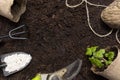 Gardening background tools and plants on a soil background with copy space for text. Spring works, top view with free text space Royalty Free Stock Photo