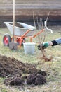 Gardening on the backyard