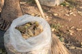 Gardening with bag of dry leaves and broom Royalty Free Stock Photo