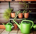 Gardening on the balcony, watering cans and plants