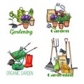 Gardening banners, sketch