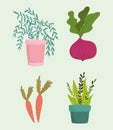 Gardening, beetroot potted plant carrots icons