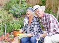 Gardening brings us so much joy. A happy senior couple busy gardening in their back yard. Royalty Free Stock Photo