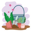 Gardening bucket plants in pot shovel and soil