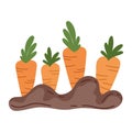 gardening carrots icon