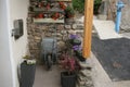 Gardening cart with flower pot in flower garden, wheelbarrow full of dried leaves, gardening with shovel tool.