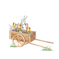 Gardening cart with flowers. Hand drawn watercolor isolated on white background