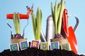 Gardening Concept! Royalty Free Stock Photo