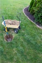 Gardening concept digging a hole for a new tree Royalty Free Stock Photo