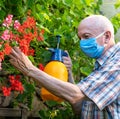 Male gardener spraying flowers from vermin using sprayer Royalty Free Stock Photo