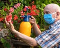 Male gardener spraying flowers from vermin using sprayer Royalty Free Stock Photo