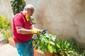 Gardening concept and people - old man taking care of plants in the garden Royalty Free Stock Photo