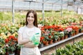 Gardening concept. Pretty smiling woman in apron holding sprayer in hand and looking to camera, standing in modern greenhouse on Royalty Free Stock Photo