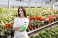 Gardening concept. Pretty smiling woman in apron holding sprayer in hand and looking to camera, standing in modern greenhouse on Royalty Free Stock Photo