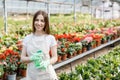Gardening concept. Pretty smiling woman in apron holding sprayer in hand and looking to camera, standing in modern greenhouse on Royalty Free Stock Photo